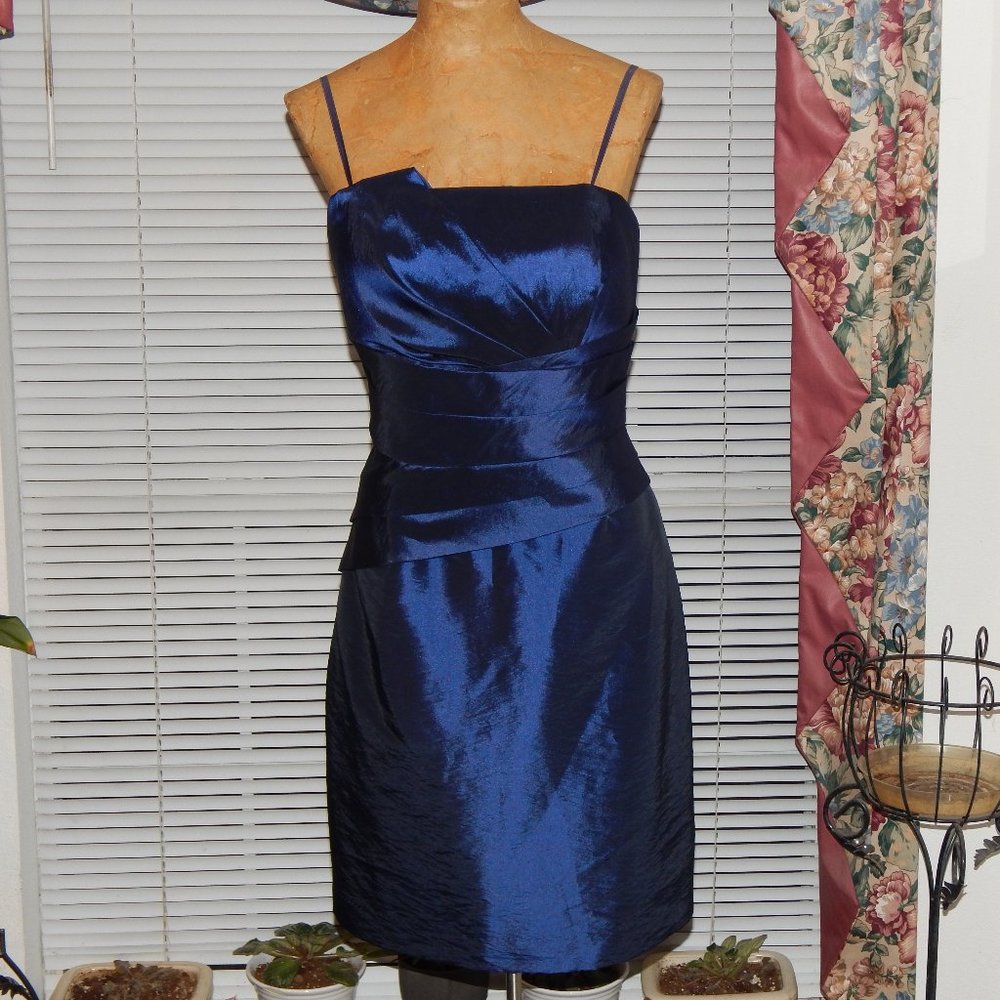NWT $148 Mariner Blue Acetate Cocktail Party Holiday MAX AND CLEO M 10